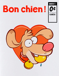 Zine 43 de Vincent Lévêque