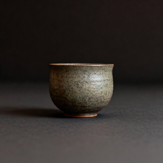 Deuxième essai de Perplexity